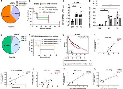 Glucose-Restricted Diet Regulates the Tumor Immune Microenvironment and Prevents Tumor Growth in Lung Adenocarcinoma